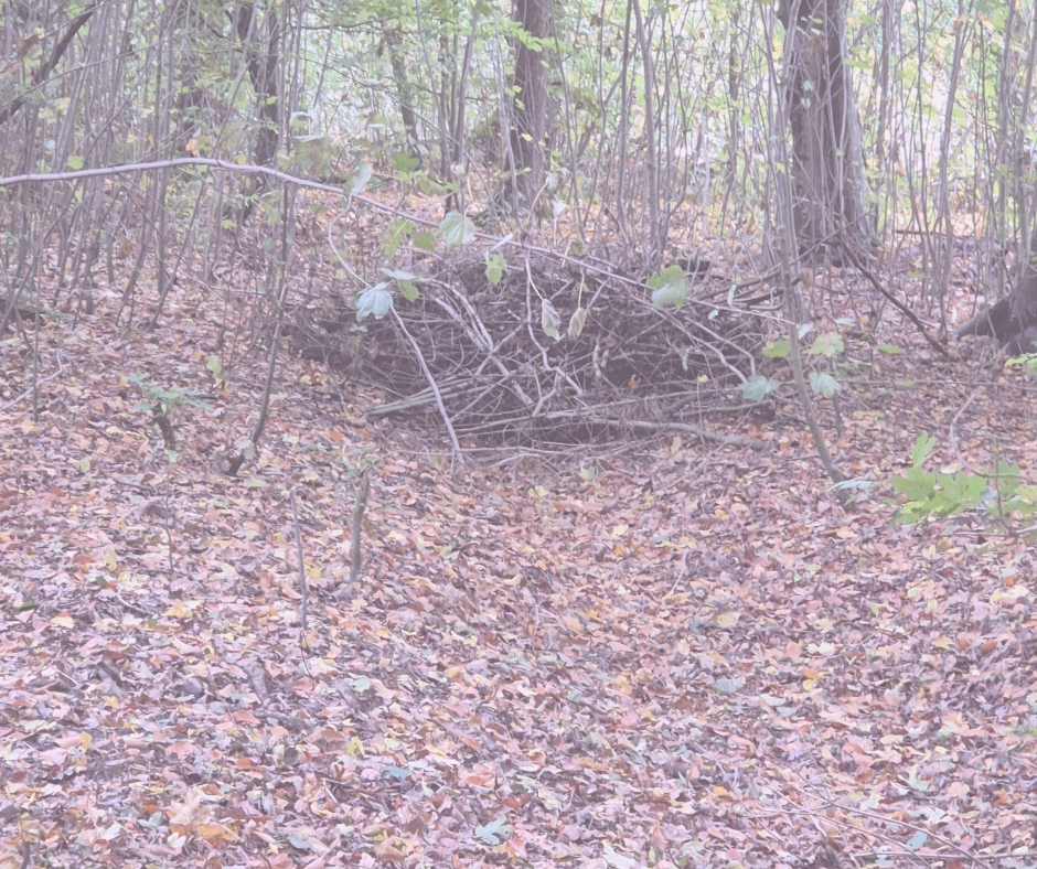 Stress verminderen. Rust en ontspanning.